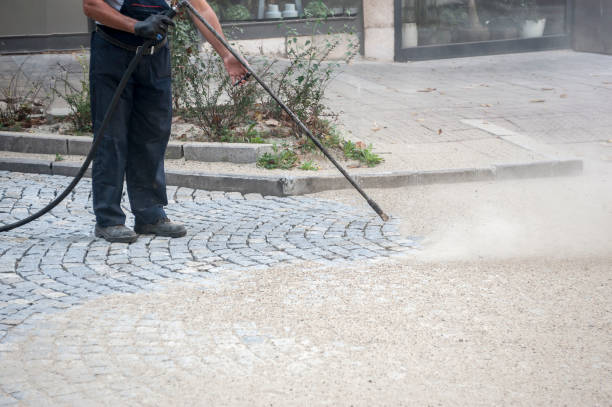 Best Fence Cleaning  in Stayton, OR